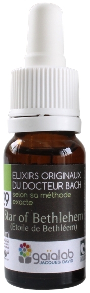 Élixir floral N° 29  – Star of Betheleem