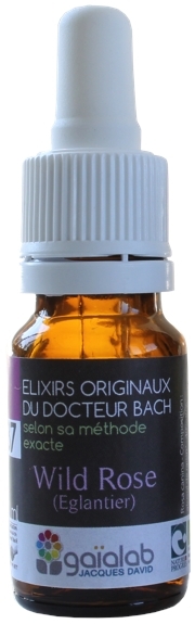 Élixir floral N° 37  – Wild rose