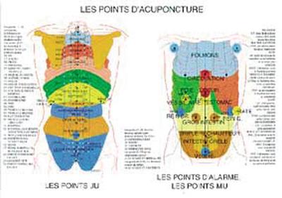 Planche Points d’acupuncture – 42×61