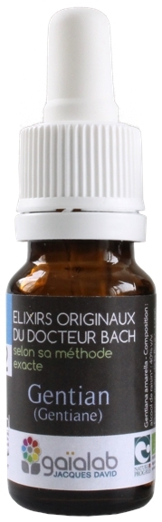 Élixir floral N° 12  – Gentian