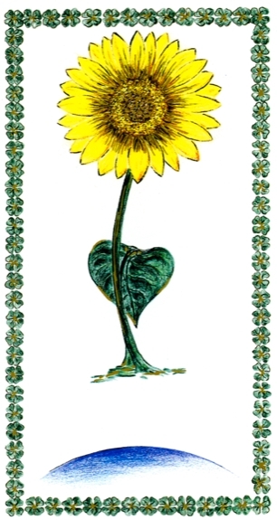 Tarot du Trèfle