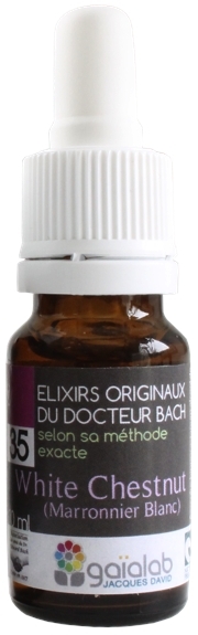 Élixir floral N° 35  – White chestnut