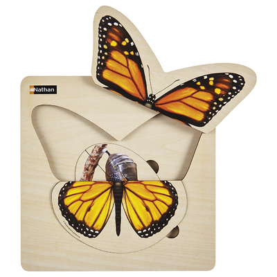 Puzzle Cycle de vie – Papillon