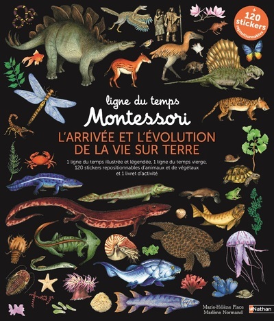Ligne du temps Montessori – L’arrivée et l’évolution de la vie sur terre