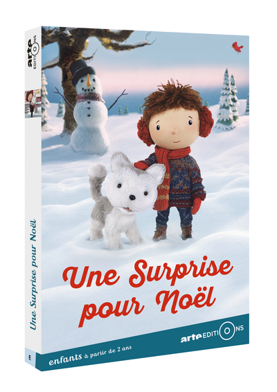 UNE SURPRISE POUR NOEL – DVD