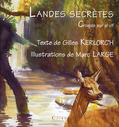 Landes secrètes – croquis sur le vif