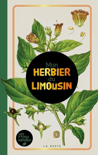 HERBIER DU LIMOUSIN (GESTE) (POCHE – RELIE) COLL. BAROQUE REEDITION