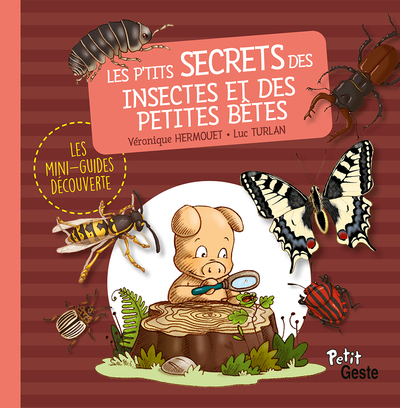 P’TITS SECRETS DES INSECTES ET PETITES BETES (MINI-GUIDE DECOUVERTE-REEDITION)