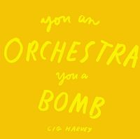 Cig Harvey You An Orchestra You A Bomb /anglais