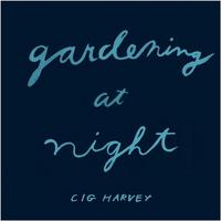 Cig Harvey Gardening at Night /anglais