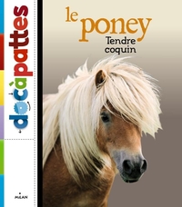 Le poney