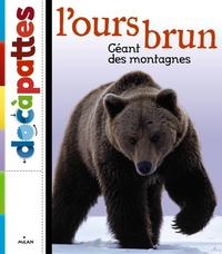 L'OURS BRUN