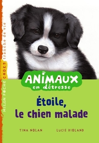 Étoile chiot malade