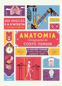 Anatomia