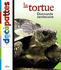 LA TORTUE, ETONNANTE CENTENAIRE