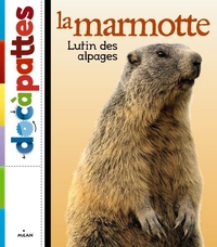 La marmotte, lutin des alpages