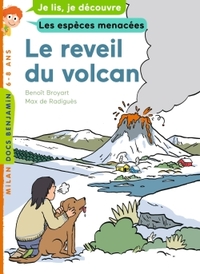 LE REVEIL DU VOLCAN