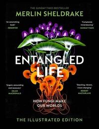 ENTANGLED LIFE HOW FUNGI MAKE OUR WORLDS THE ILLUSTRATED EDITION /ANGLAIS