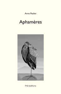 Aphamères
