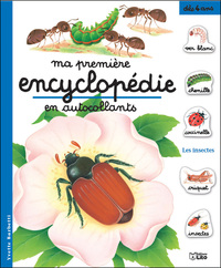 LES INSECTES