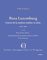 ROSA LUXEMBURG - LETTRES DE LA MAISON SOMBRE ET TRISTE (1915 - 1918)