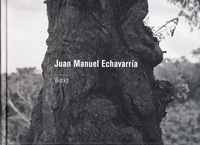 Juan Manuel Echavarría - works