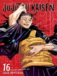 JUJUTSU KAISEN VOLUME 16