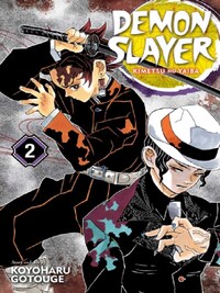 Demon Slayer Kimetsu No Yaiba