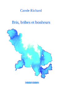 BRIS, BRIBES ET BONHEURS