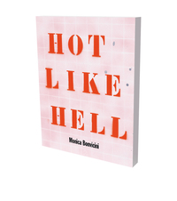 Monica Bonvicini : Hot Like Hell