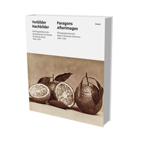 Paragones & Afterimages
