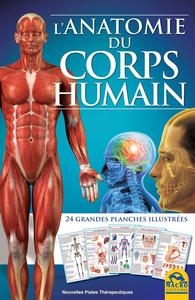 L'ANATOMIE DU CORPS HUMAIN - 24 GRANDES PLANCHES ILLUSTREES.