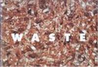 EIJI INA WASTE /ANGLAIS