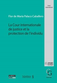 LA COUR INTERNATIONALE DE JUSTICE ET LA PROTECTION DE L'INDIVIDU