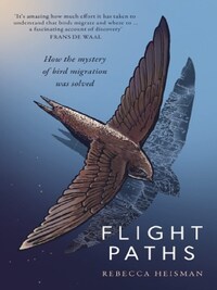 FLIGHT PATHS