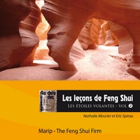 Les leçons de feng shui - Les étoiles volantes vol. 2 - Pour se former chez soi