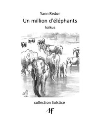 Un million d'éléphants