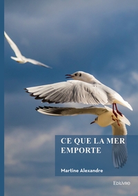 Ce que la mer emporte