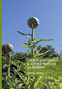 Choeur d'artichaut & autres fruits de la passion