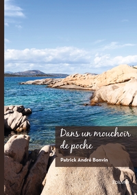 DANS UN MOUCHOIR DE POCHE - RECUEIL