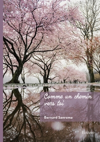 Comme un chemin vers toi