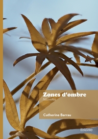 Zones d'ombre