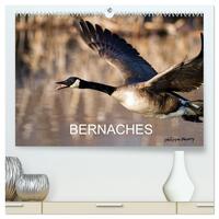 BERNACHES (Calendrier mural haut de gamme 2027 DIN A2 vertical), CALVENDO calendrier mensuel