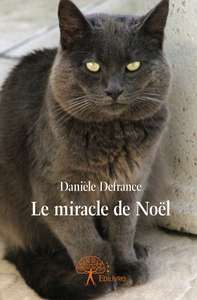 Le miracle de Noël