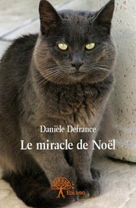 Le miracle de noël