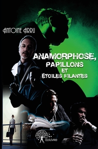 Anamorphose, papillons et étoiles filantes