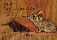 Où es tu ? sengi la souris éléphant