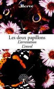 Les deux papillons