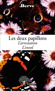 Les deux papillons