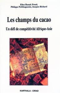 Les champs du cacao